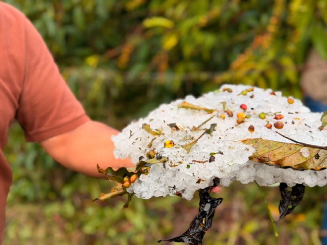 Tempestade com granizo atinge cidades do Caparaó e provoca prejuízos em lavouras